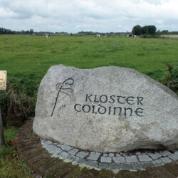 Coldinne
