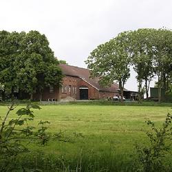 Blauhaus