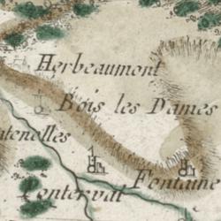 Bois-des-Dames