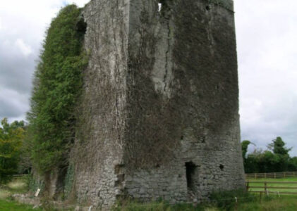 Coolbanagher Castle