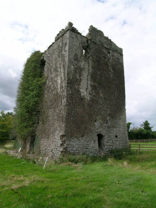 Coolbanagher Castle